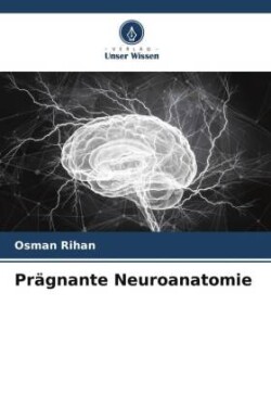 Prägnante Neuroanatomie