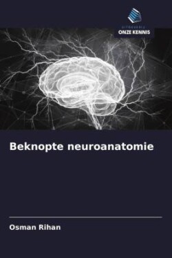 Beknopte neuroanatomie