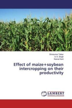 Effect of maize+soybean intercropping on their productivity