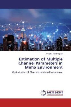 Estimation of Multiple Channel Parameters in Mimo Environment