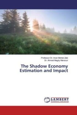 Shadow Economy Estimation and Impact