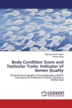 Body Condition Score and Testicular Traits