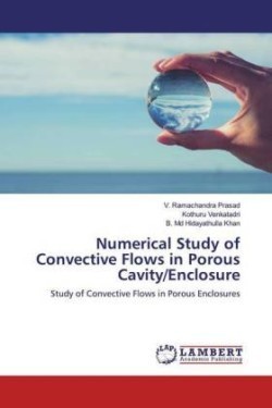 Numerical Study of Convective Flows in Porous Cavity/Enclosure