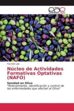 Núcleo de Actividades Formativas Optativas (NAFO)