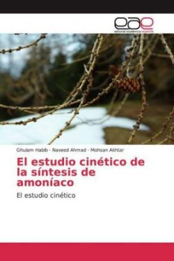 El estudio cinético de la síntesis de amoníaco