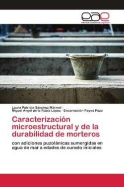 Caracterización microestructural y de la durabilidad de morteros