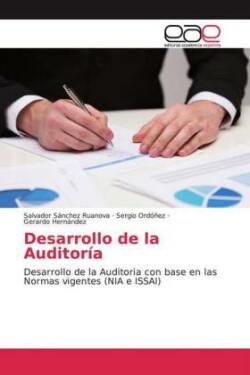 Desarrollo de la Auditoría