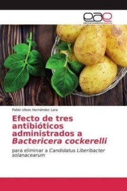 Efecto de tres antibióticos administrados a Bactericera cockerelli