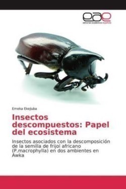 Insectos descompuestos: Papel del ecosistema