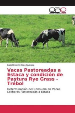 Vacas Pastoreadas a Estaca y condición de Pastura Rye Grass - Trébol