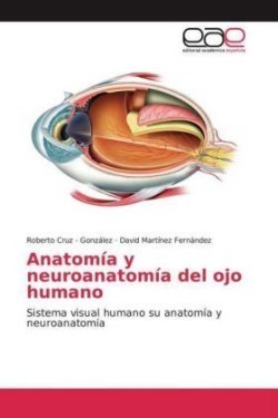 Anatomía y neuroanatomía del ojo humano