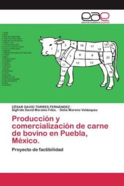 Producción y comercialización de carne de bovino en Puebla, México.