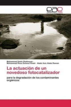 La actuación de un novedoso fotocatalizador