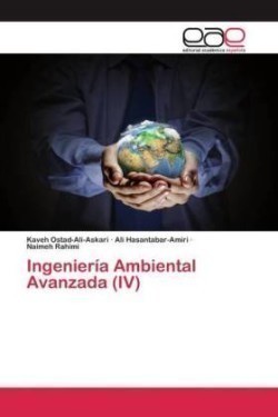 Ingeniería Ambiental Avanzada (IV)