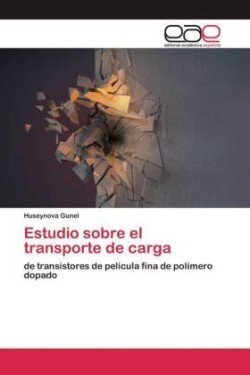 Estudio sobre el transporte de carga