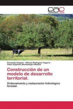 Construcción de un modelo de desarrollo territorial.