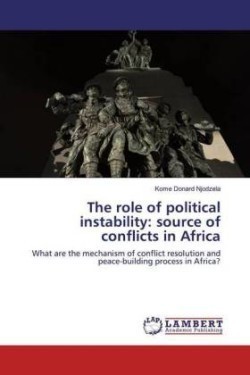 role of political instability