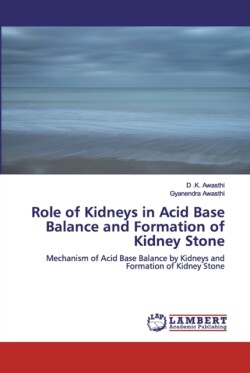 Role of Kidneys in Acid Base Balance and Formation of Kidney Stone