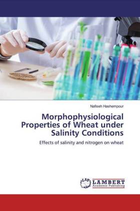 Morphophysiological Properties of Wheat under Salinity Conditions