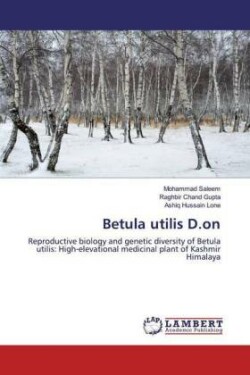 Betula utilis D.on