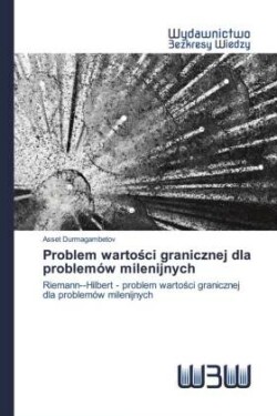 Problem wartości granicznej dla problemów milenijnych