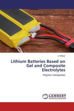 Lithium Batteries Based on Gel and Composite Electrolytes