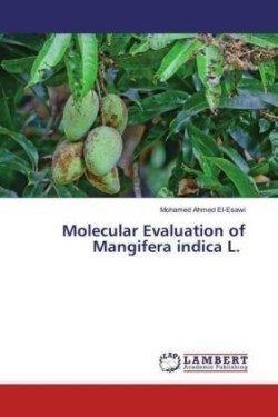 Molecular Evaluation of Mangifera indica L.