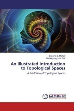 An Illustrated Introduction to Topological Spaces