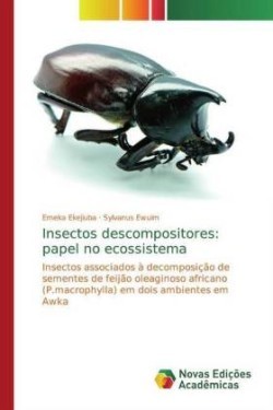 Insectos descompositores: papel no ecossistema