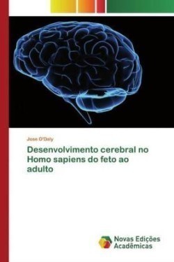 Desenvolvimento cerebral no Homo sapiens do feto ao adulto