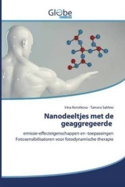 Nanodeeltjes met de geaggregeerde