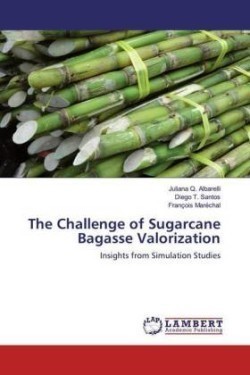 The Challenge of Sugarcane Bagasse Valorization