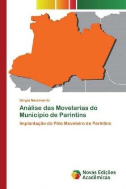 Análise das Movelarias do Município de Parintins