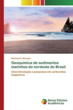 Geoquímica de sedimentos marinhos do nordeste do Brasil