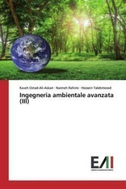 Ingegneria ambientale avanzata (III)