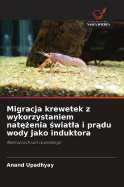 Migracja krewetek z wykorzystaniem natężenia światla i prądu wody jako induktora