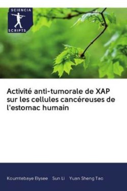 Activité anti-tumorale de XAP sur les cellules cancéreuses de l'estomac humain