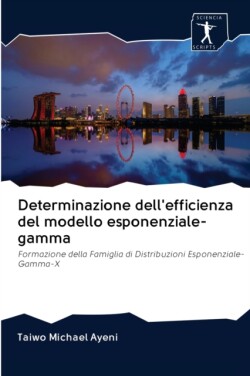 Determinazione dell'efficienza del modello esponenziale-gamma