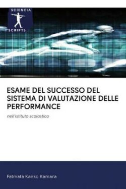 Esame del Successo del Sistema Di Valutazione Delle Performance