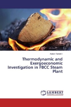 Thermodynamic and Exergoeconomic Investigation in FBCC Steam Plant