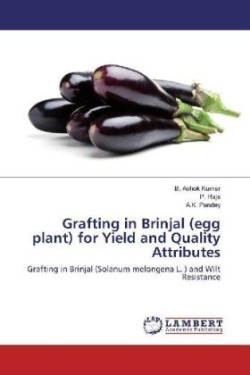 Grafting in Brinjal (egg plant) for Yield and Quality Attributes