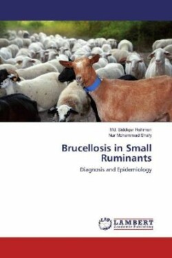 Brucellosis in Small Ruminants