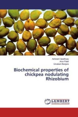 Biochemical properties of chickpea nodulating Rhizobium