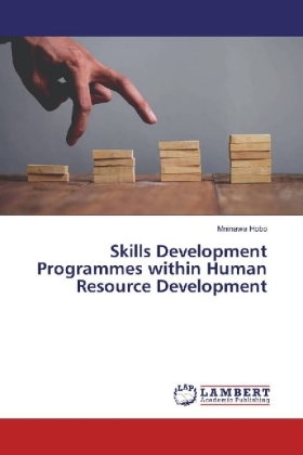 Skills Development Programmes within Human Resource Development