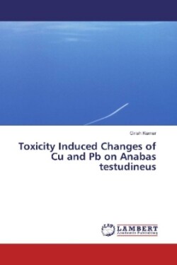 Toxicity Induced Changes of Cu and Pb on Anabas testudineus