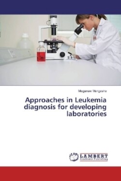 Approaches in Leukemia diagnosis for developing laboratories