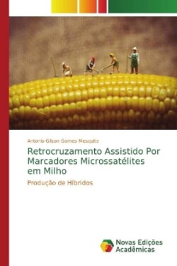 Retrocruzamento Assistido Por Marcadores Microssatélites em Milho