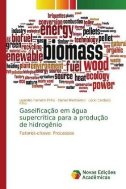 Gaseificação em água supercrítica para a produção de hidrogênio