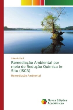 Remediação Ambiental por meio de Redução Química In-Situ (ISCR)