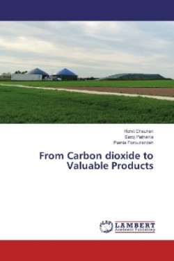 From Carbon dioxide to Valuable Products